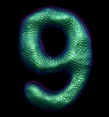 Number 9 nine made of natural green snake skin texture isolated on black