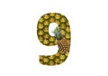 Number 9 nine made from pineapple on a white background. Tropical fruit pineapple diet summer food