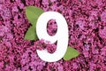 Number nine shape on the purple Common Lilac Syringa vulgaris flowers background.