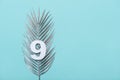 Number nine shape with silver palm leaves on blue background. Summer concept. Flat lay. Top view