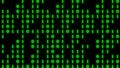 0 Number with 1 Number of ASCII code.