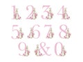 Number pink with watercolor cute rabbit with flowers