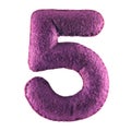 Number 5 from purple felt