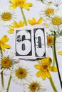 Number 60 with ressed spring flowers in yellow and white