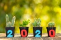 Number 2020 and set of mini cactus in black plastic planting pot on wooden table, Green nature blur background for new year