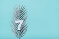 Number seven shape with silver palm leaves on blue background. Summer concept. Flat lay. Top view