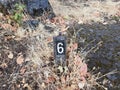 Number 6 on sign on ground with grasses and rocks Royalty Free Stock Photo