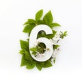 Number six with green leaves. Minimal summer concept. Flat lay.