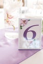 Number six at table for guests on wedding hall. Wedding table number Royalty Free Stock Photo