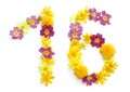 number sixteen 16, one 1 and six 6 made from freshly picked yellow and pink flowers.