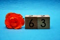 Number sixty three with an orange rose