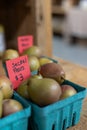 Seckel Pears in Blue Container Royalty Free Stock Photo