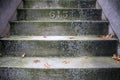 the number on steps has fallen leaves and leaves are scattered Royalty Free Stock Photo