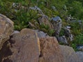 Number 600 and 601 of 1,560 steps on exhausting hiking trail of rock stairs to Reinebringen on MoskenesÃÂ¸ya, Lofoten, Norway.