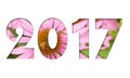 2017 number from summer pink flowers photo on white background f