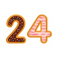 24 number sweet glazed doughnut vector illustration