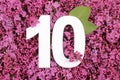 Number ten shape on the purple Common Lilac Syringa vulgaris flowers background.