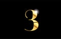 number 3 three gold golden metal metallic logo icon design