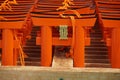 Number of tiny orange traditional Japanese gates (miniatures of Toriis) in the Shinto shrines