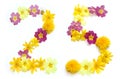 number twenty-five 25, two 2 and five 5 made from freshly picked yellow and pink flowers.