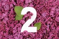 Number two shape on the purple Common Lilac Syringa vulgaris flowers background.