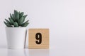 Number 9 on wooden pine block on white background next to a succulent plant with room for copy or print, useful for calendar and