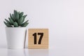 Number 17 on wooden pine block on white background next to a succulent plant with room for copy or print, useful for calendar and