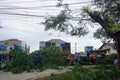 A number of workers were cutting trees