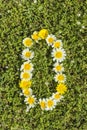 Number zero from flower numbers