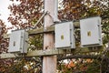 Numbered electrical junction boxes mounted on a wooden utility pole with cables and autumn foliage in the background Royalty Free Stock Photo