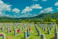 Numbered headstones with colorful flowers