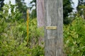 Numbered wooden post in the forest Royalty Free Stock Photo