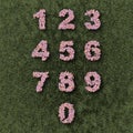 Numberpad of Flowers