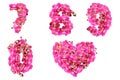 Numbers 7 8 9 0 decorated with flowers of pink Phalaeonopsis orchids Royalty Free Stock Photo