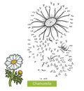 Numbers game for children, flower Chamomile