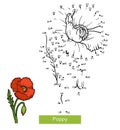 Numbers game for children, flower Poppy