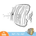 Numbers game, education dot to dot game, Copperband butterflyfish