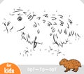 Numbers game, education dot to dot game for kids, Capybara