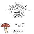 Numbers game. Inedible mushrooms, amanita