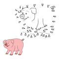 Numbers game (pig) Royalty Free Stock Photo