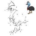 Numbers game, Southern cassowary