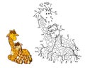 Numbers game (two giraffes) Royalty Free Stock Photo