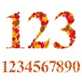 Numbers made with leaves, vector numerals set