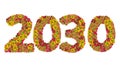 Numbers 2030 made from Zinnias flowers