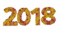 Numbers 2018 made from Zinnias flowers