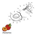 Numbers vector game: fruits and vegetables (nectarine)