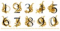 Numbers. vintage gold damask curl script. love text.