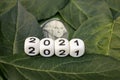 the numbers 2021 on white cubes that are on the green leaves of the apple tree Royalty Free Stock Photo