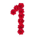 Numeral 1 made of red roses on a white isolated background. Element for decoration. Red roses Royalty Free Stock Photo