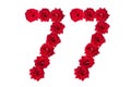 Numeral 77 made of red roses on a white isolated background. Element for decoration. seventy seven. Red roses